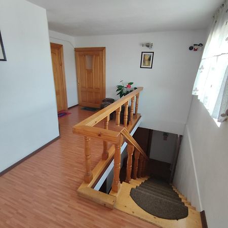 Camere De Inchiriat Edelweiss Dumbrava Roşie Exterior foto